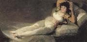 Francisco de goya y Lucientes The Maja Clothed USA oil painting artist